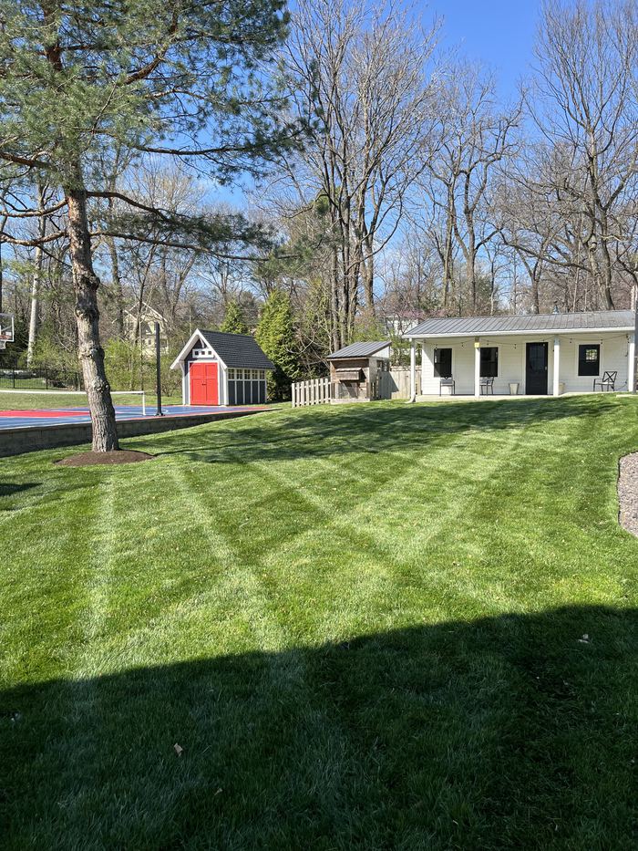 A spring backyard mowed in a diamond crosshatch pattern, with a red-door shed, a sport court, and a white pool house under bare trees and a blue sky.
