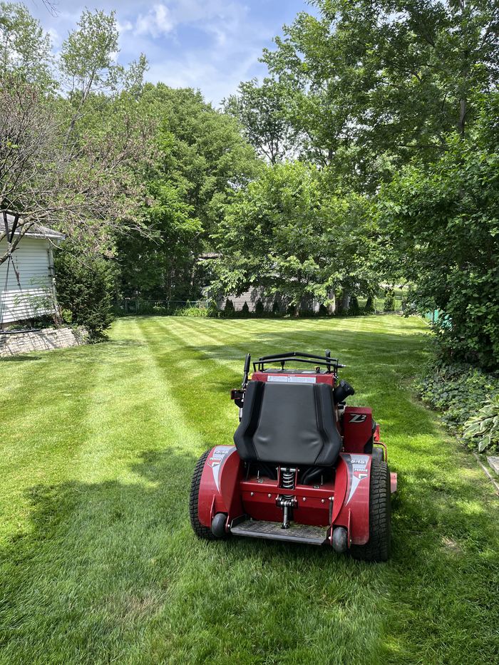 A red stand-on mower seen from behind on a freshly striped backyard lined with lush summer trees.